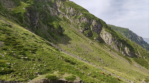 IMG_20210723_102827