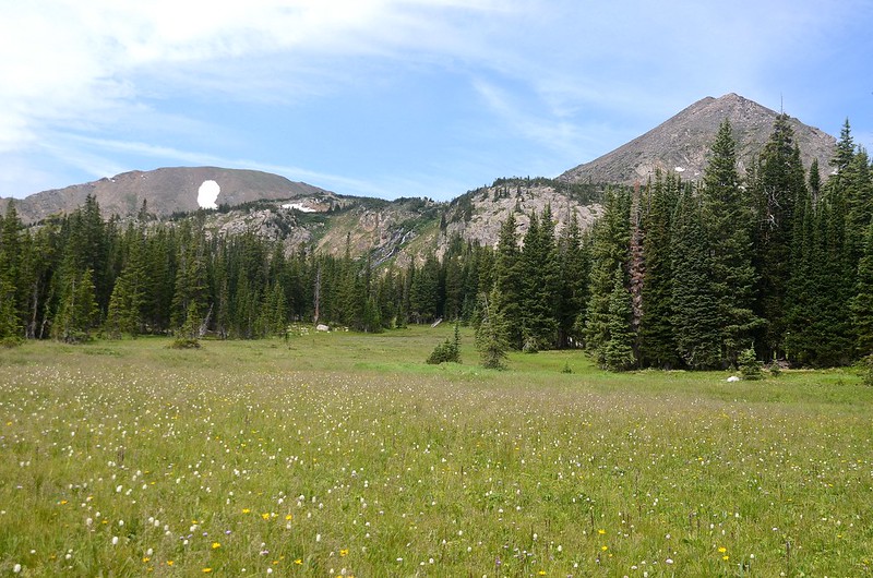 A large meadow Before Diamond Lake (2)