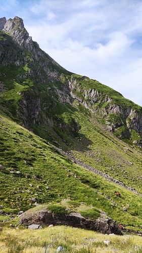 IMG_20210723_102831