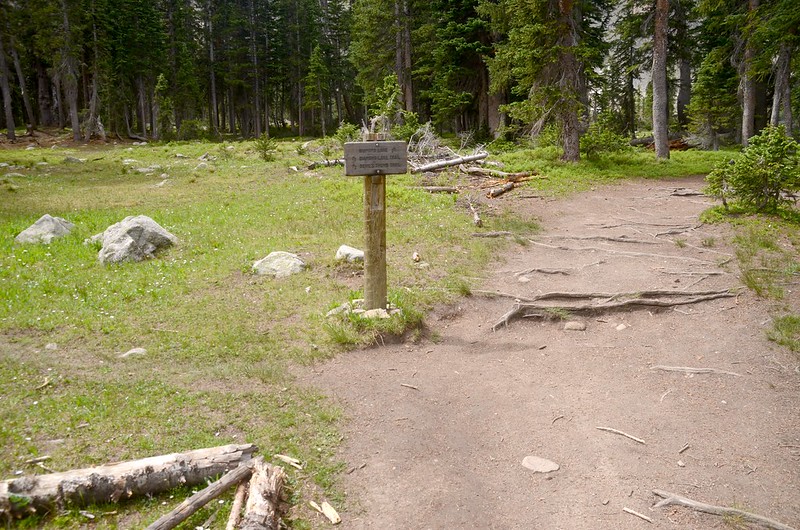 Devils Thumb Trail junction