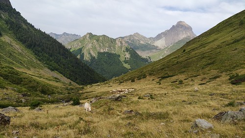 IMG_20210723_103653