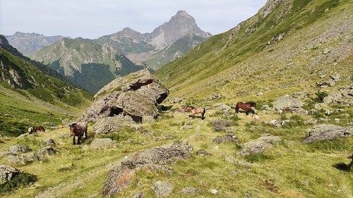 IMG_20210723_102550