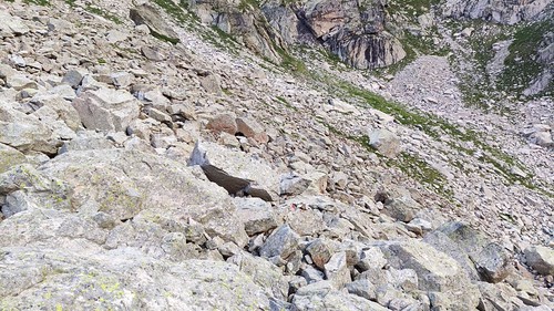 IMG_20210723_084401