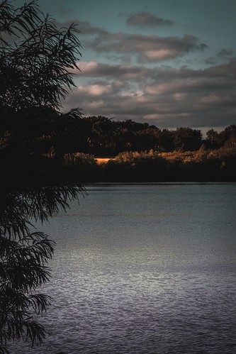 Night calling by Michael Dambach, sunsetlight lake clouds bigsky sky trees water reflections eveningsun sonyalpha sony sonya7iii