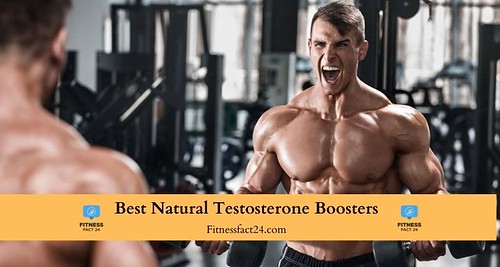 Best Natural Testosterone Boosters