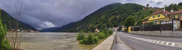 Die wilde Donau