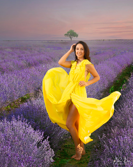 ... in the lavender field