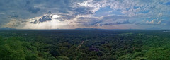 Vu depuis Sigiriya - Sri Lanka