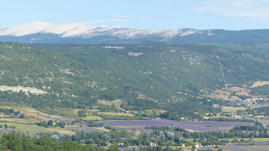 Sault, Aurel y Chemin de Lavandes, Provence, 19 Julio 2021