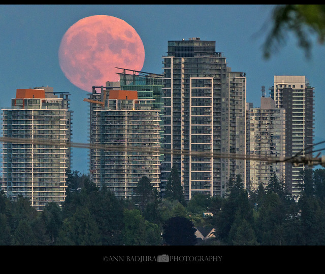 Almost full Buck Moon in Vancouver, BC, Canada