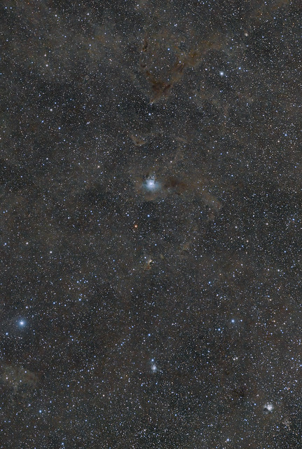 Iris Nebula surrounded with space dust