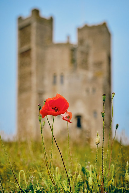 Orford Castle poppy