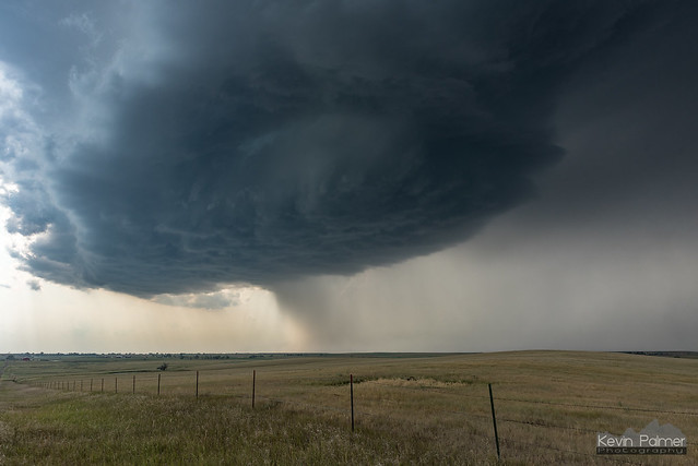 Newell Supercell