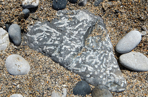 Unusual rock with beach pebbles at Black Point Beach in Anglesey, Wales