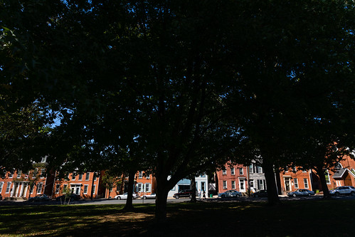 Urban tree canopy in Lancaster County, Pennsylvania | by chesbayprogram