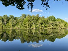 Mill Pond Reflection