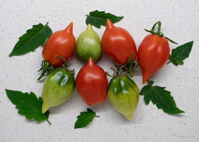 mini_tomatoes
