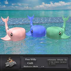 Free Willy - New gift