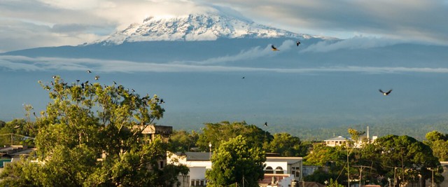 where-to-stay-in-moshi-kilimanjaro-climbing-accommodation-hotels-hostels