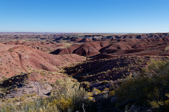 Welcome Views First Seen in Petrified Forest National Park!