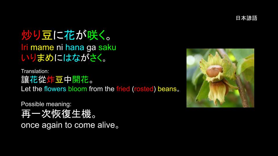 日本諺語 Japanese Proverbs: 炒り豆に花が咲く