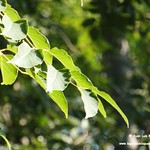 P1610574