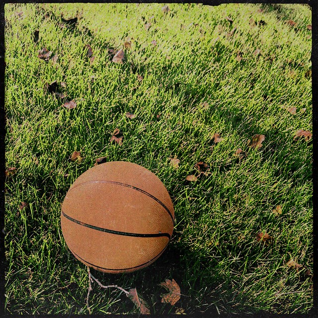 Basket…