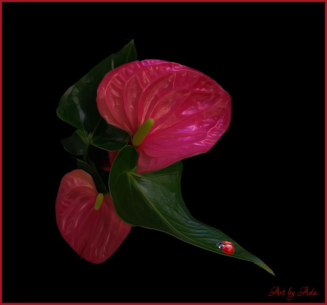 Anthurium with a little visitor