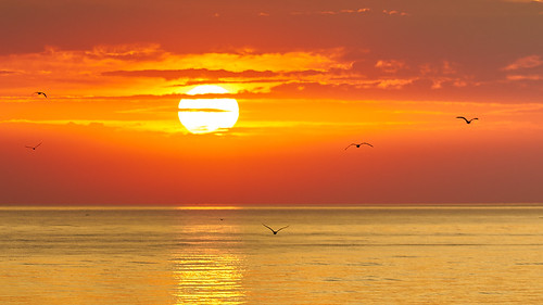 sunset sun sunrise birds orange morning golden water sea baltic cloudy clouds