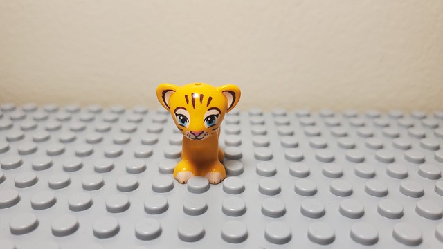 Happy International Tiger Day!! (Announcement
