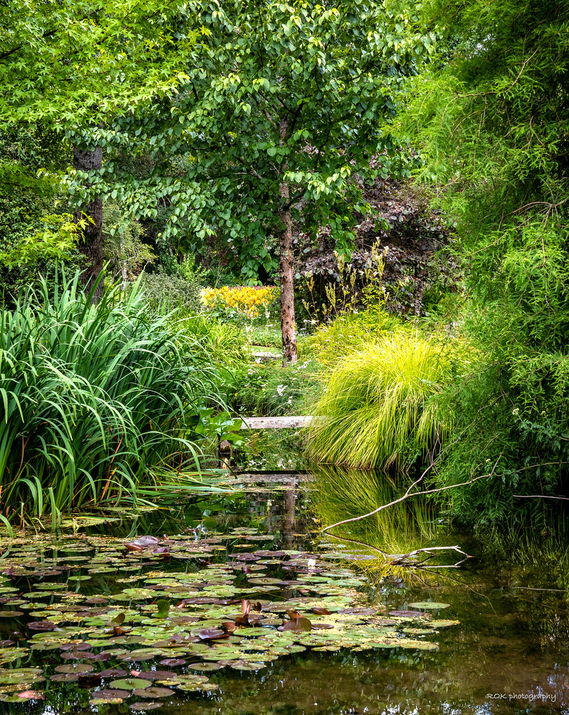 Longstock Park Water Gardens 2
