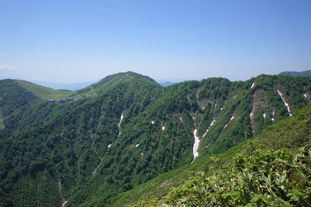 谷川岳 茂倉岳 ハクサンイチゲ満開の夏山縦走登山 今日という日を忘れずに