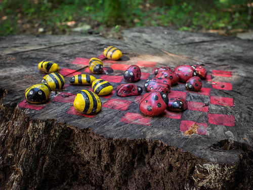 Bees vs. ladybugs