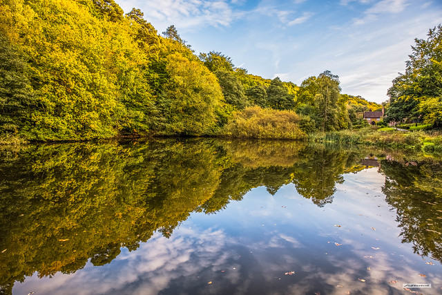 The sumptuous, autumnal, reflected splendour of Friday Street Hammer Pond, nearing sunset, Surrey Hills, England.