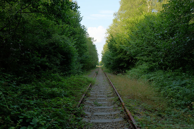 Disused Railway Line leading to Resolven from Melincourt