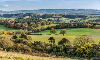 Beautiful Surrey. Church and village of Albury with Pitch Hill on the horizon, deep into autumn and nearing sunset, near Newlands Corner, Surrey Hills, England.