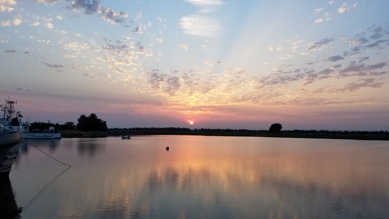 Sunrise in the Delta