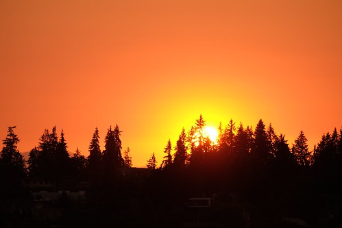 Bellevue sunsets | by yukosteel
