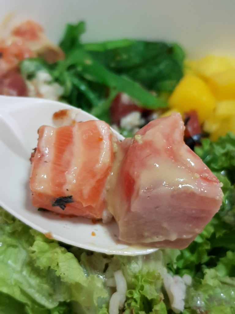 鱷梨三文魚 Avocado Miso Salmon (raw) Bowl rm$22.15 @ The Fish Bowl in Bandar Sunway