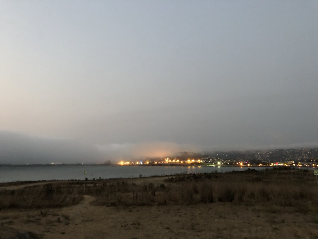 Foggy evening in Berkeley