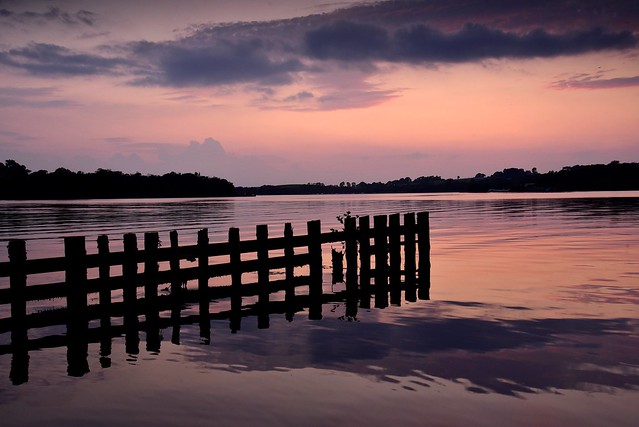 Tom's island, Lough Erne.