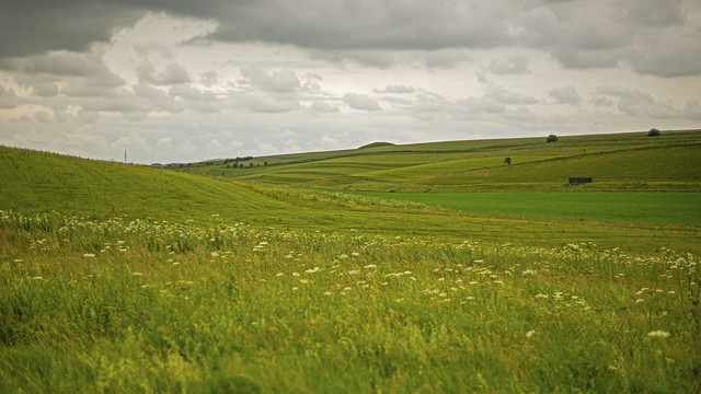 the wonderful shapes in the Wiltshire landscape