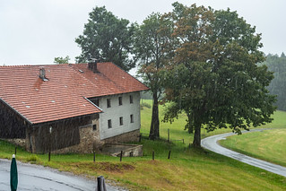 Regen in Waldhäuser
