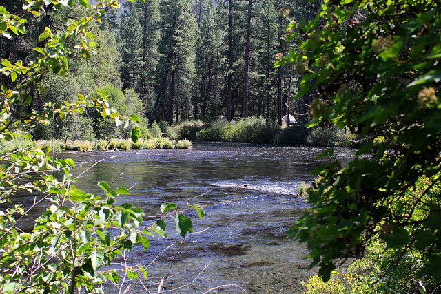 The Metolius flows past a campground