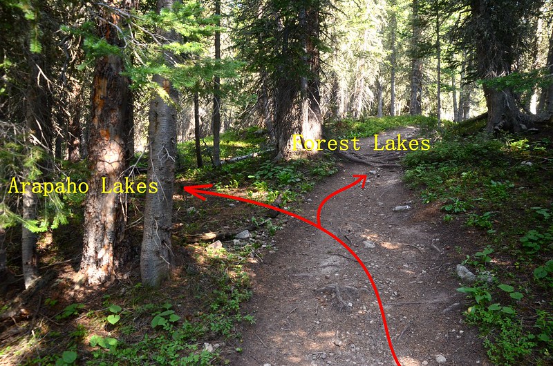 Forest Lakes & Arapaho Lakes junction #2
