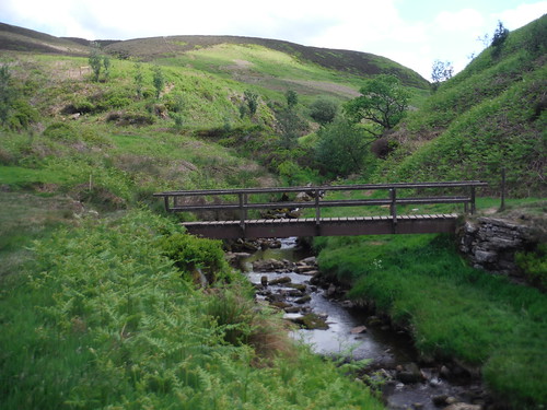 Upper Goyt Valley, footbridge where Berry Clough stream joins SWC Walk 383 - Macclesfield to Buxton (via The Cat &amp; Fiddle)