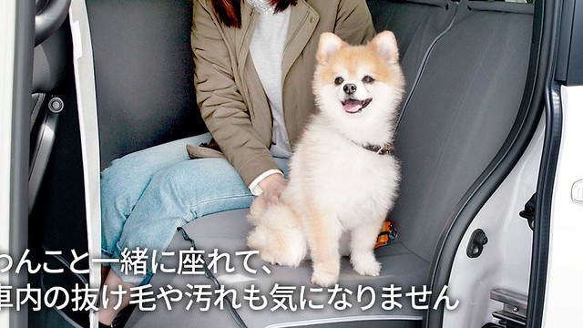 honda-introduces-paw-accessories-for-dog-lovers-of-japan (6)