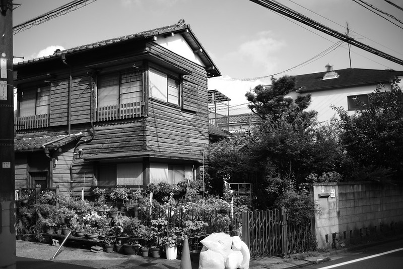 213Leica M9 P+Light lens lab M 35mm f2 周八枚 目白四丁目赤板塀の日本家屋