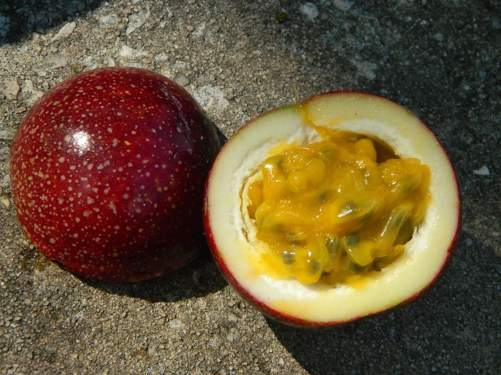 Passiflora edulis fruit