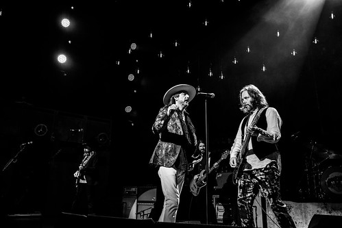 The Black Crowes
